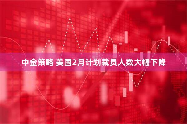 中金策略 美国2月计划裁员人数大幅下降