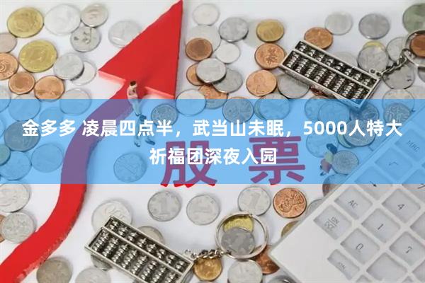 金多多 凌晨四点半，武当山未眠，5000人特大祈福团深夜入园