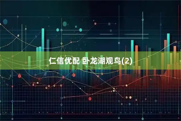 仁信优配 卧龙湖观鸟(2)