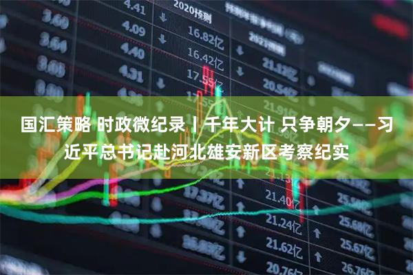 国汇策略 时政微纪录丨千年大计 只争朝夕——习近平总书记赴河北雄安新区考察纪实