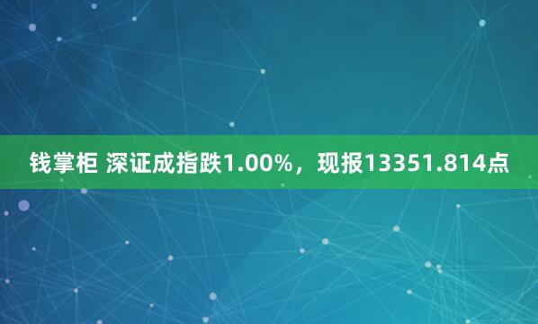 钱掌柜 深证成指跌1.00%，现报13351.814点