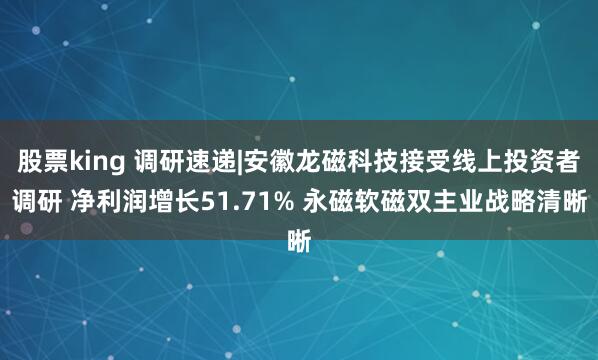 股票king 调研速递|安徽龙磁科技接受线上投资者调研 净利润增长51.71% 永磁软磁双主业战略清晰