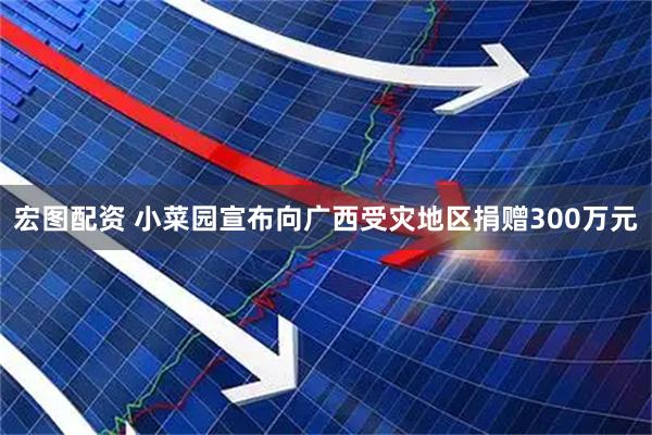 宏图配资 小菜园宣布向广西受灾地区捐赠300万元