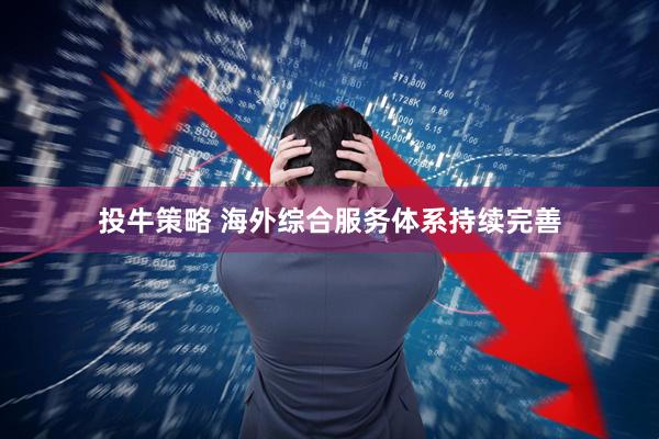 投牛策略 海外综合服务体系持续完善