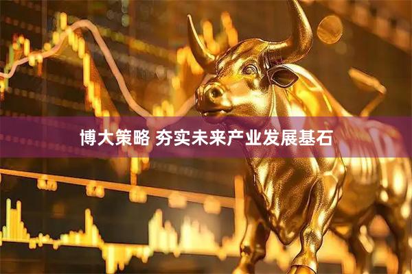博大策略 夯实未来产业发展基石