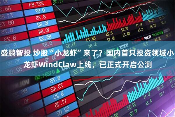 盛鹏智投 炒股“小龙虾”来了？国内首只投资领域小龙虾WindClaw上线，已正式开启公测