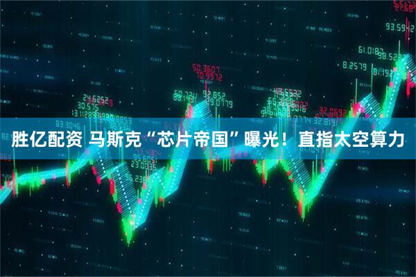 胜亿配资 马斯克“芯片帝国”曝光！直指太空算力