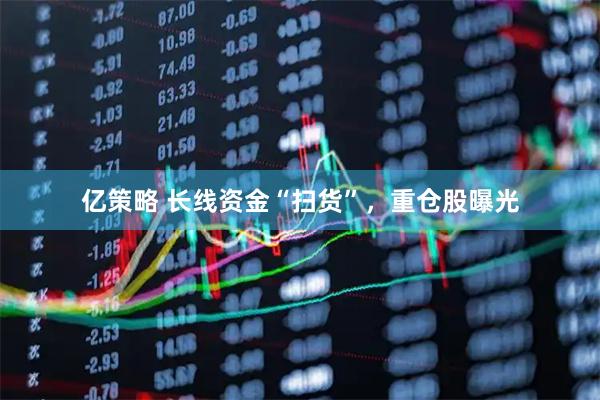 亿策略 长线资金“扫货”，重仓股曝光
