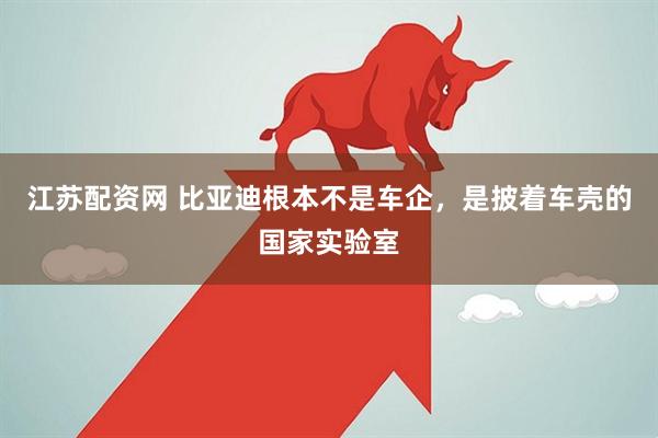江苏配资网 比亚迪根本不是车企，是披着车壳的国家实验室
