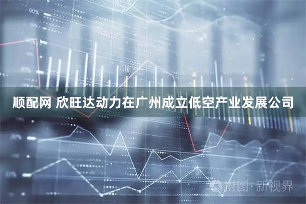 顺配网 欣旺达动力在广州成立低空产业发展公司