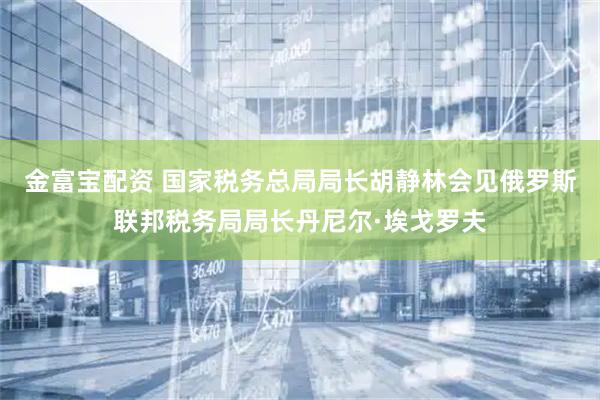 金富宝配资 国家税务总局局长胡静林会见俄罗斯联邦税务局局长丹尼尔·埃戈罗夫