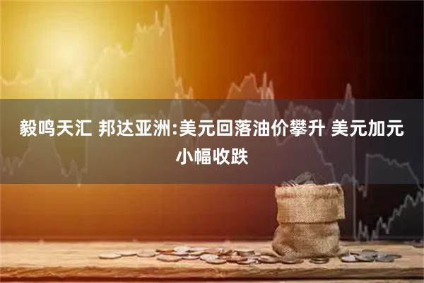 毅鸣天汇 邦达亚洲:美元回落油价攀升 美元加元小幅收跌