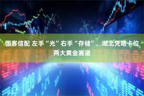 国客信配 左手“光”右手“存储”，湖北凭啥卡位两大黄金赛道