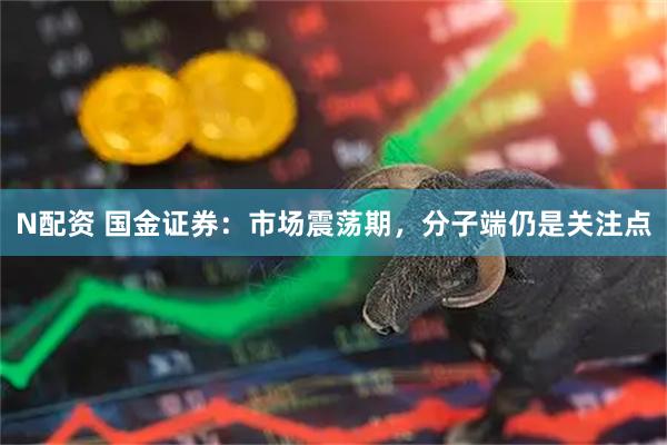 N配资 国金证券:市场震荡期,分子端仍是关注点