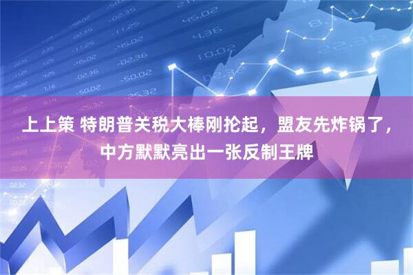 上上策 特朗普关税大棒刚抡起,盟友先炸锅了,中方默默亮出一张反制王牌