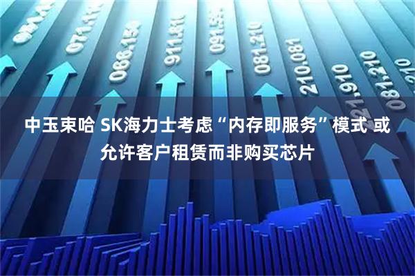 中玉束哈 SK海力士考虑“内存即服务”模式 或允许客户租赁而非购买芯片